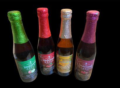 Bild zu: 18 er Kasten Fruchtbier